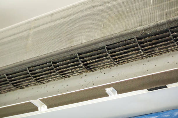Best Affordable Duct Cleaning Services  in Sa Loma, CA