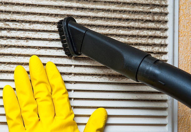 Best Air Duct Mold Removal  in Sa Loma, CA